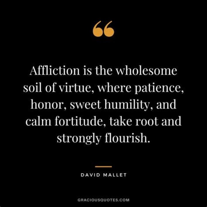 Are fortitude and strength the same thing?