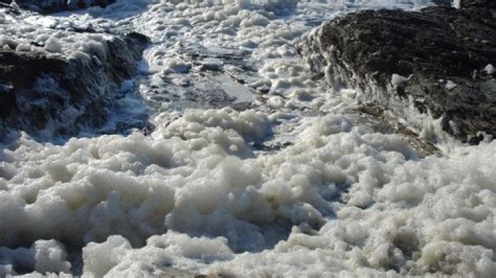 Are sea foam dangerous?