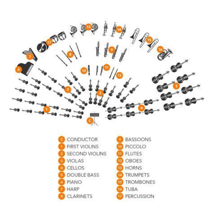 Are there clarinets in an orchestra?