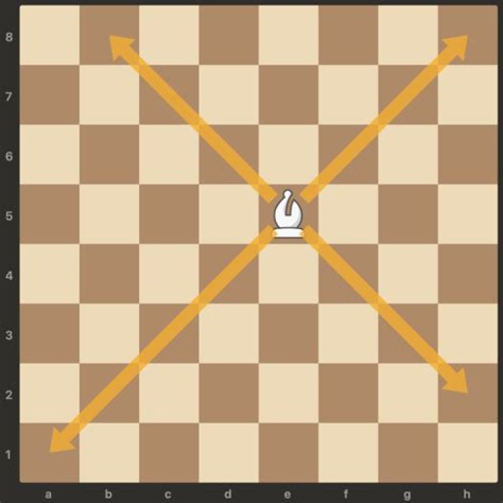 Can the bishop move backwards in chess?
