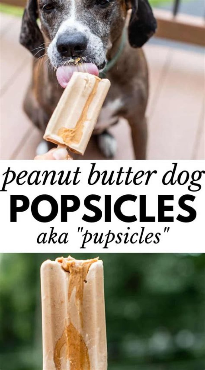 Can you give a dog popsicles?