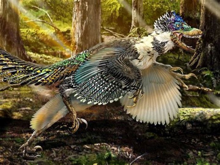 Could dinosaurs had feathers?