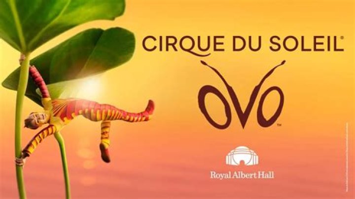 Did cirque du soleil ever use animals?