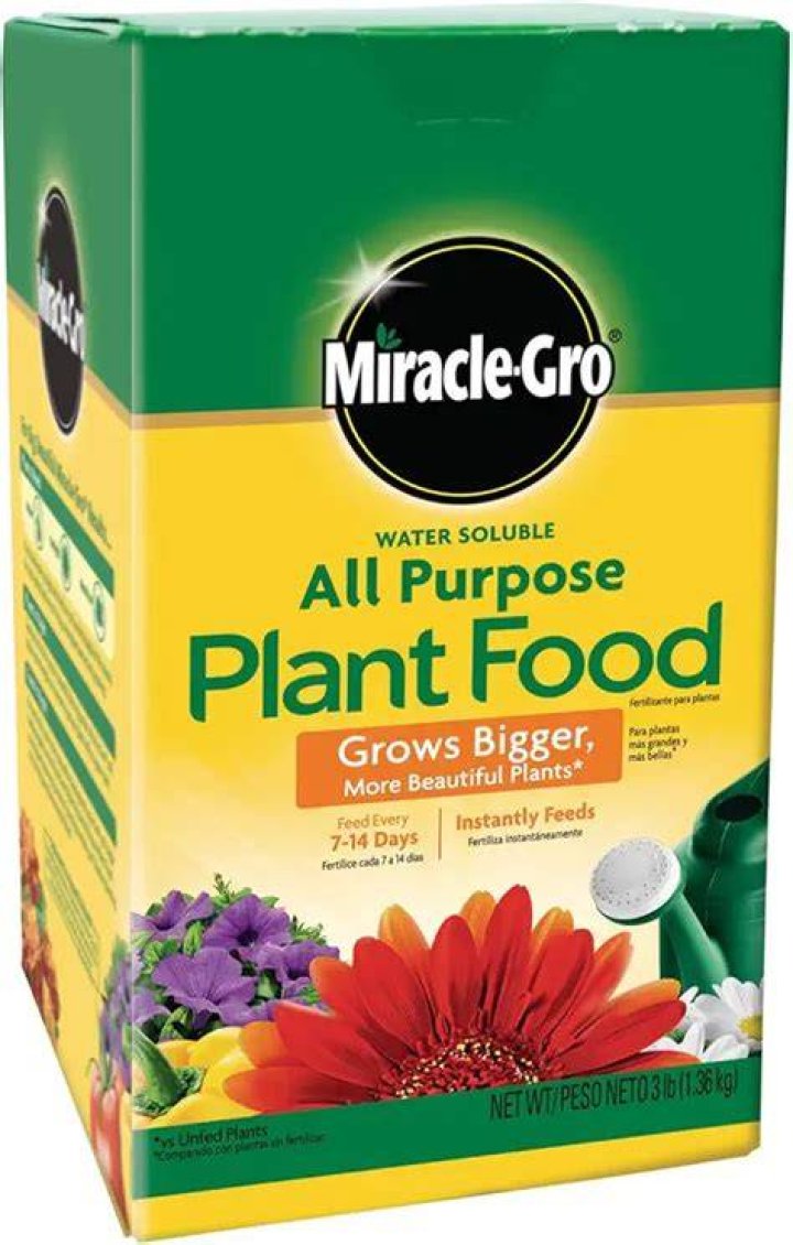 Does miracle grow work on shrubs?