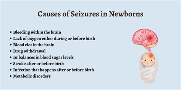 Does Purina Beneful cause seizures?