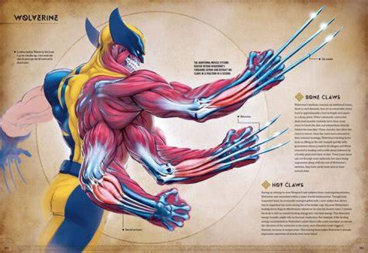 How heavy is Wolverine's skeleton?