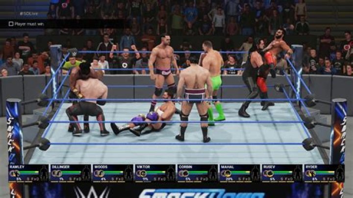 How long is wwe2k19 career mode?