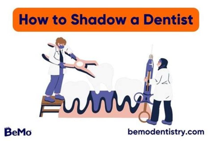 How many hours should I shadow a dentist?