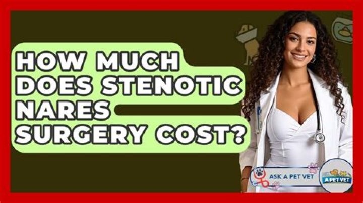 How much does nares surgery cost?