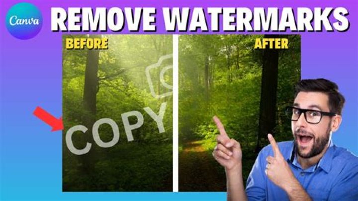 How to remove watermarks from videos?
