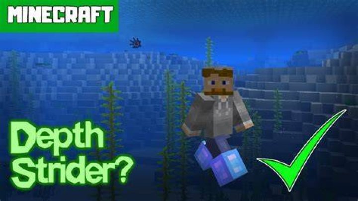 In minecraft what does death strider do?