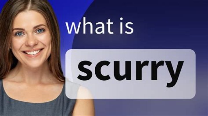 Is scurried a real word?