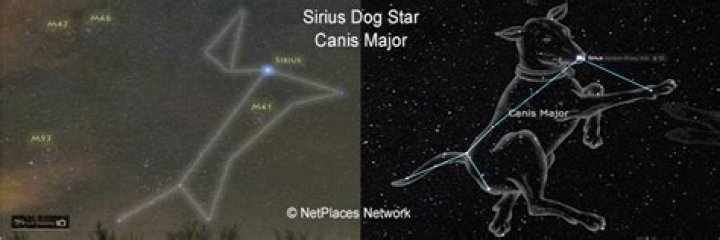 Is sirius called the dog star?