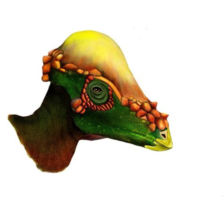 Was pachycephalosaurus a theropod?