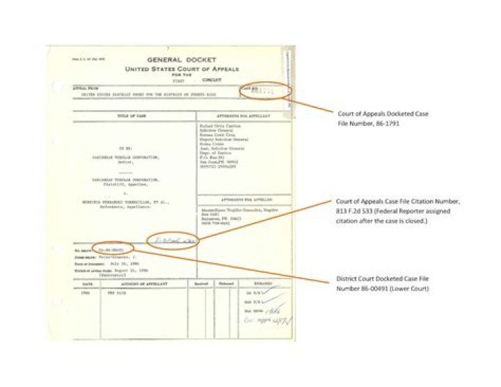 What are court dockets?