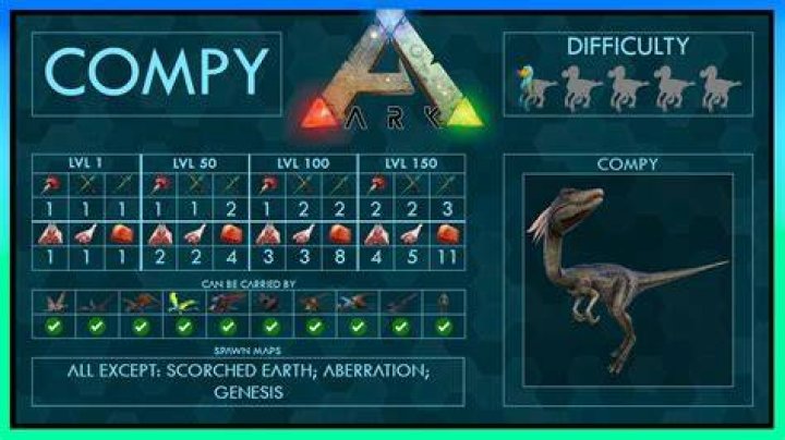 What do compys eat to tame?
