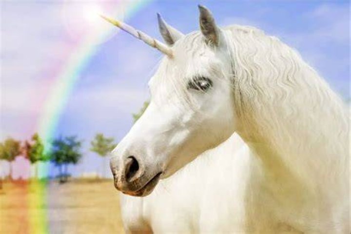 What do unicorns eat ark?