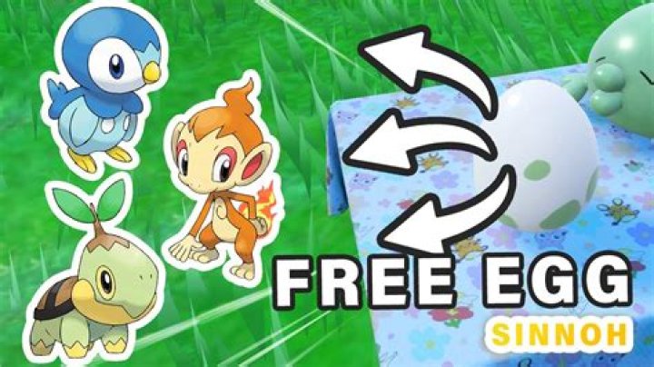 What egg group is chimchar in?