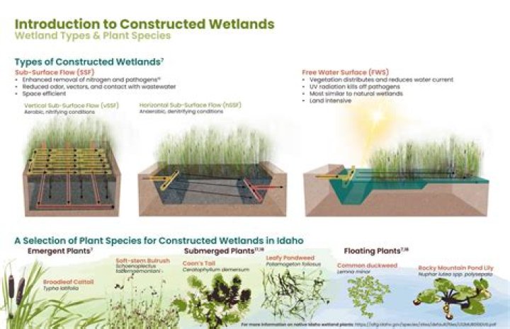 What is a constructed wetland?