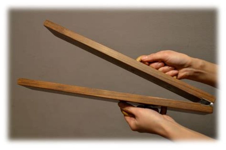 What is a whip instrument?