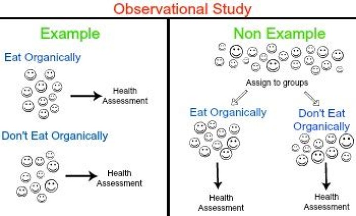 What is an observational study in statistics quizlet?