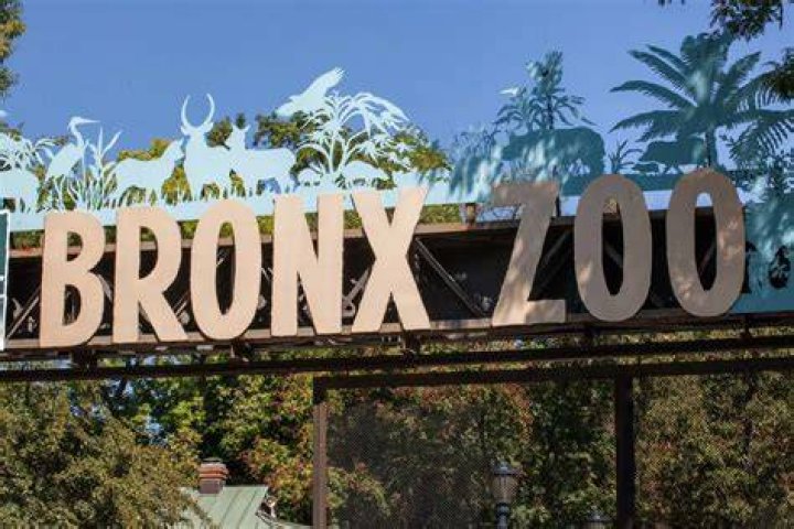 When bronx zoo open?