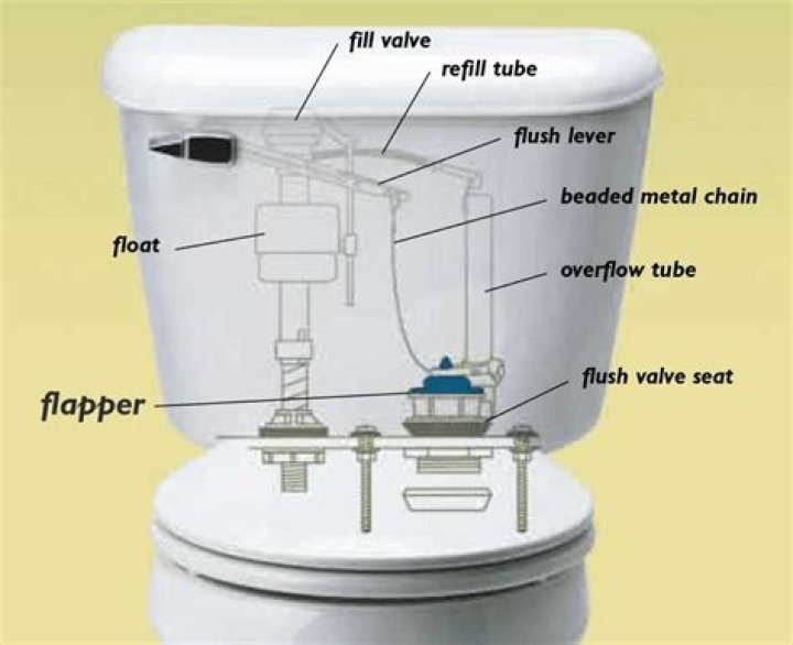 Where does the phrase four-flusher come from?