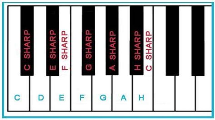 Where is d sharp on the piano?