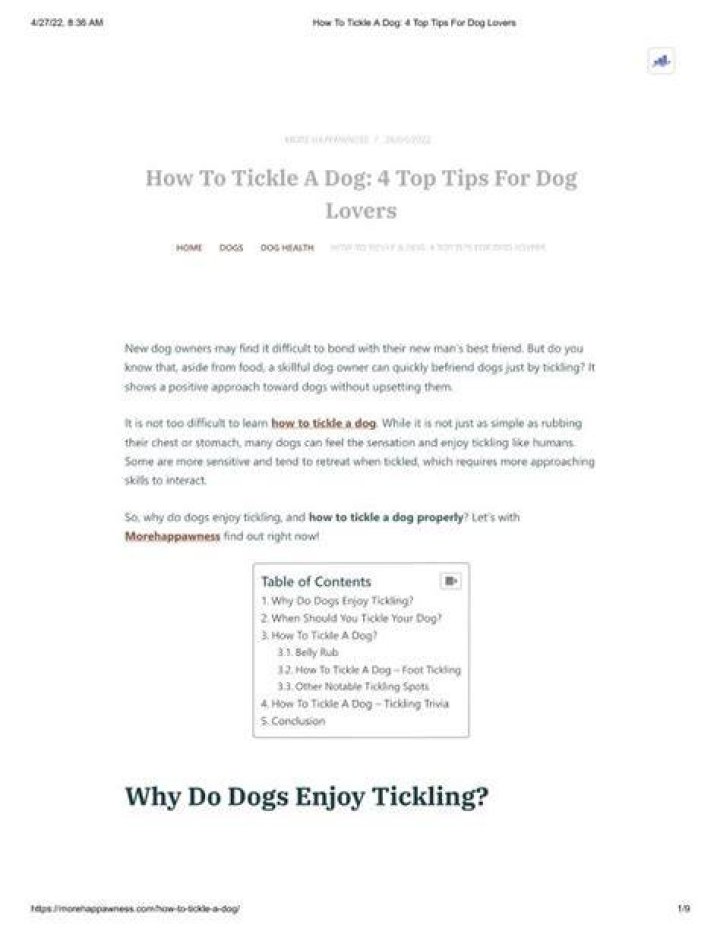 Where to tickle a dog?