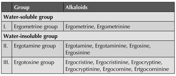 Which ergot alkaloids is water soluble?