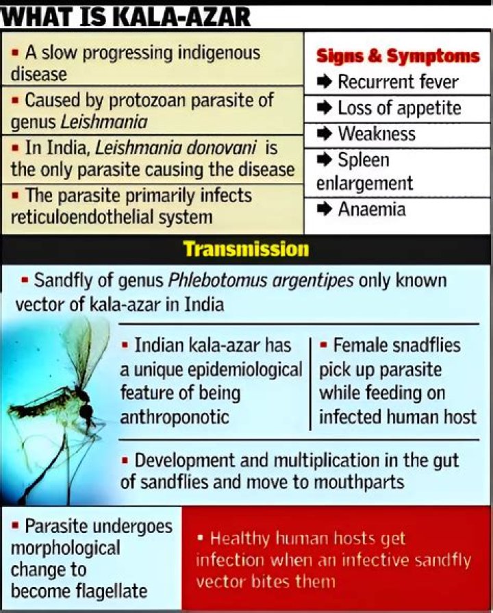 Which microorganism causes kala azar?