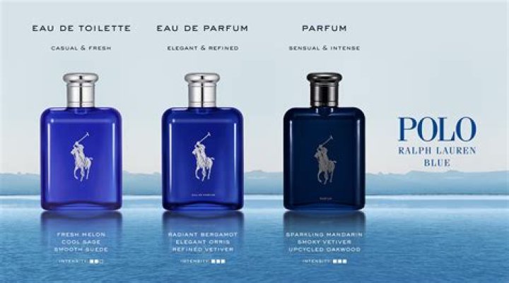 Which polo cologne is the best?
