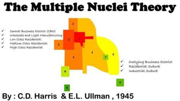 Who gave the multiple nuclei theory?