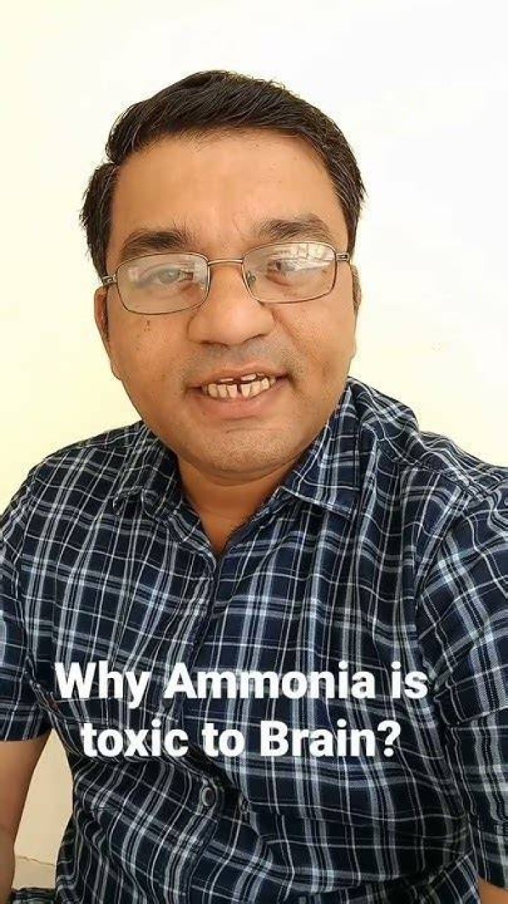 Why ammonia is toxic to brain?