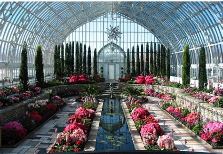 Why horticulture is an art?
